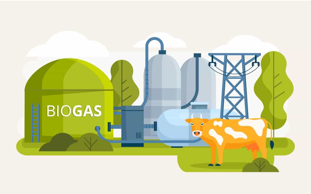 Green Energy Biomass Energy Impact