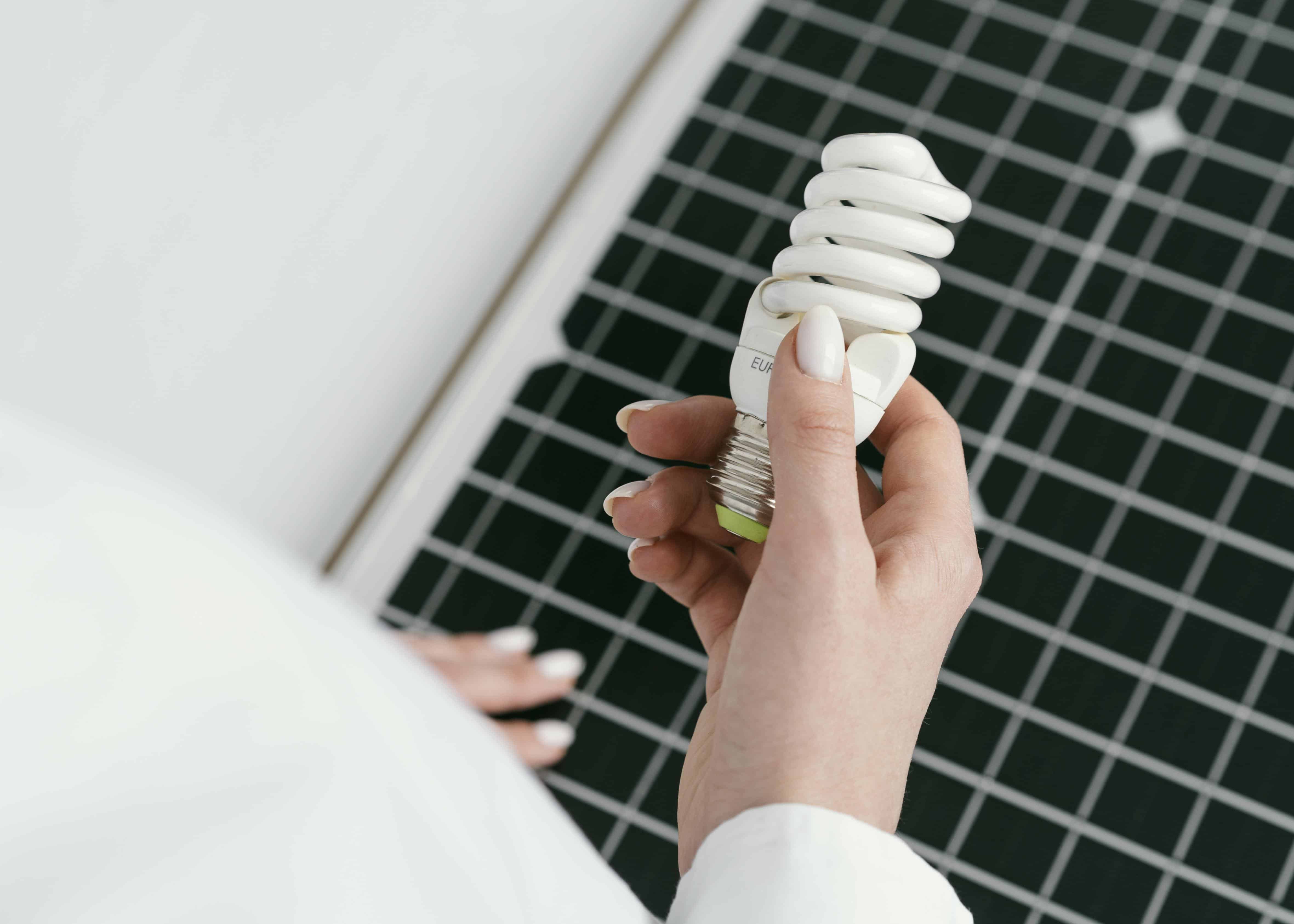 Hand Holding Light Bulb Image